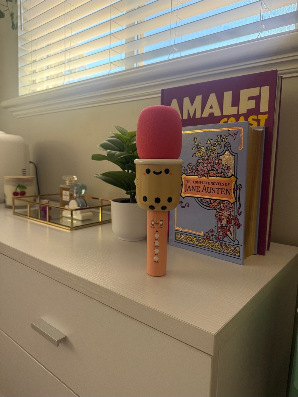 Bubble Tea Style Kids Karaoke Microphone in Pink and Peach - Brand Unknown